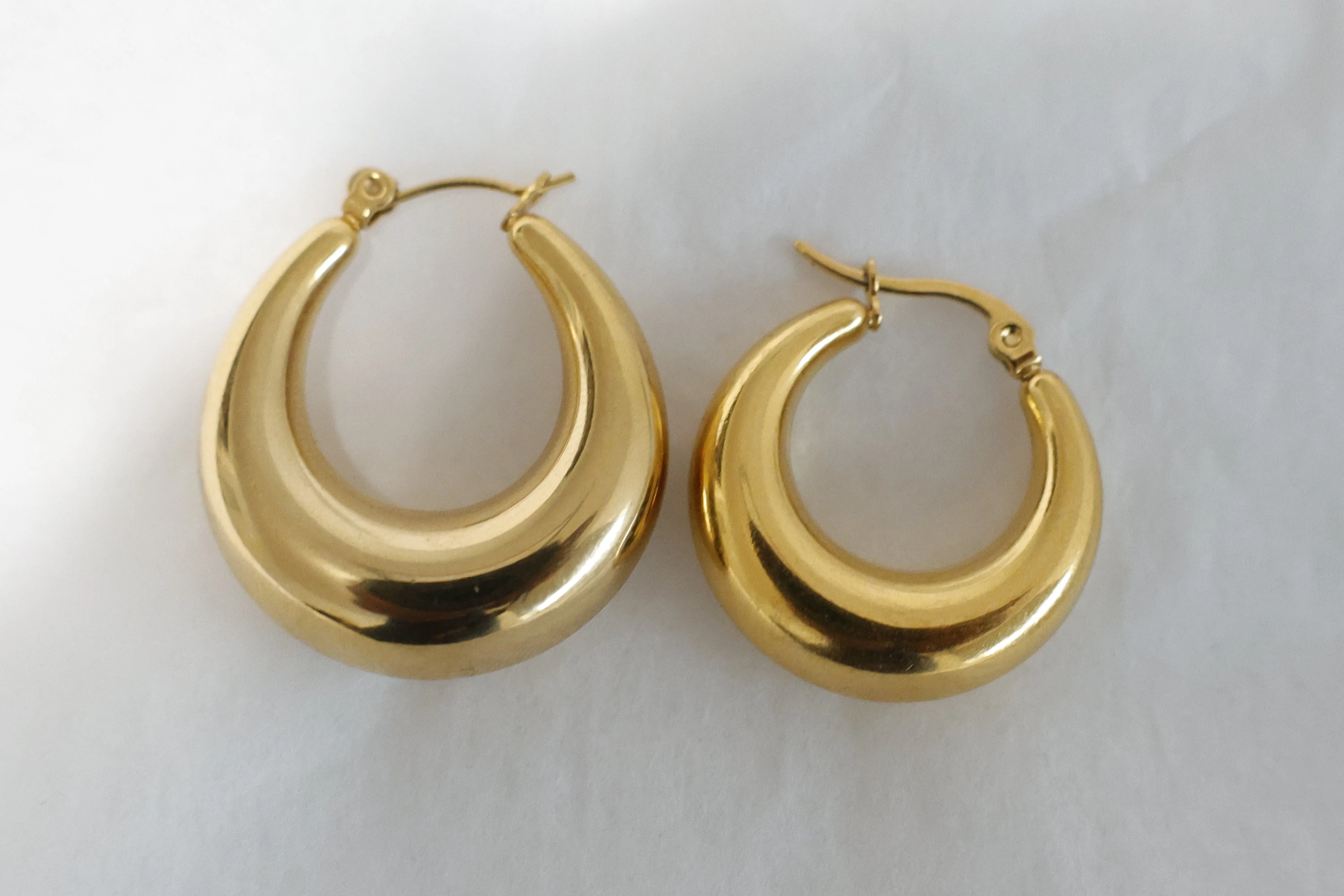 Aniya Hoops Earrings