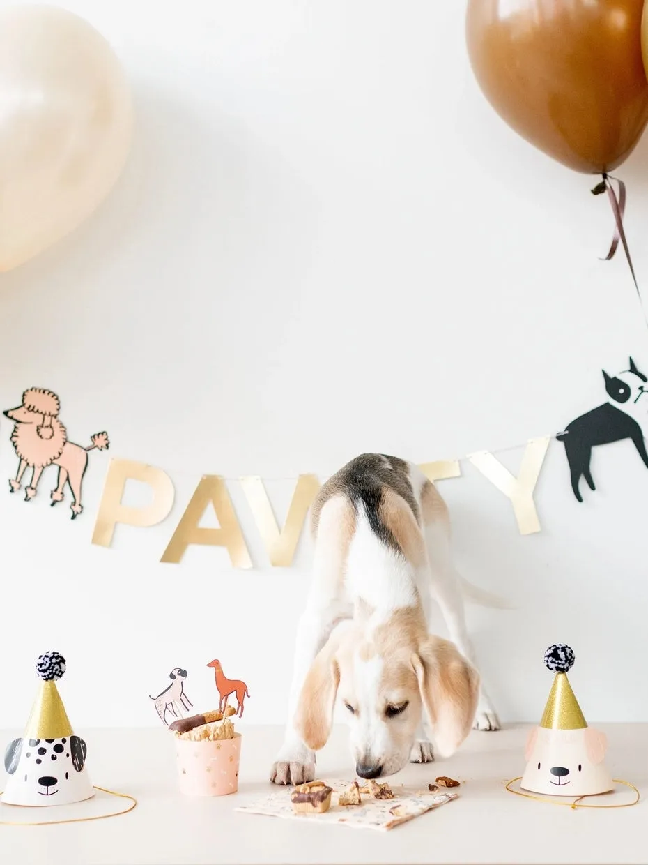 Bow Wow Party Hats