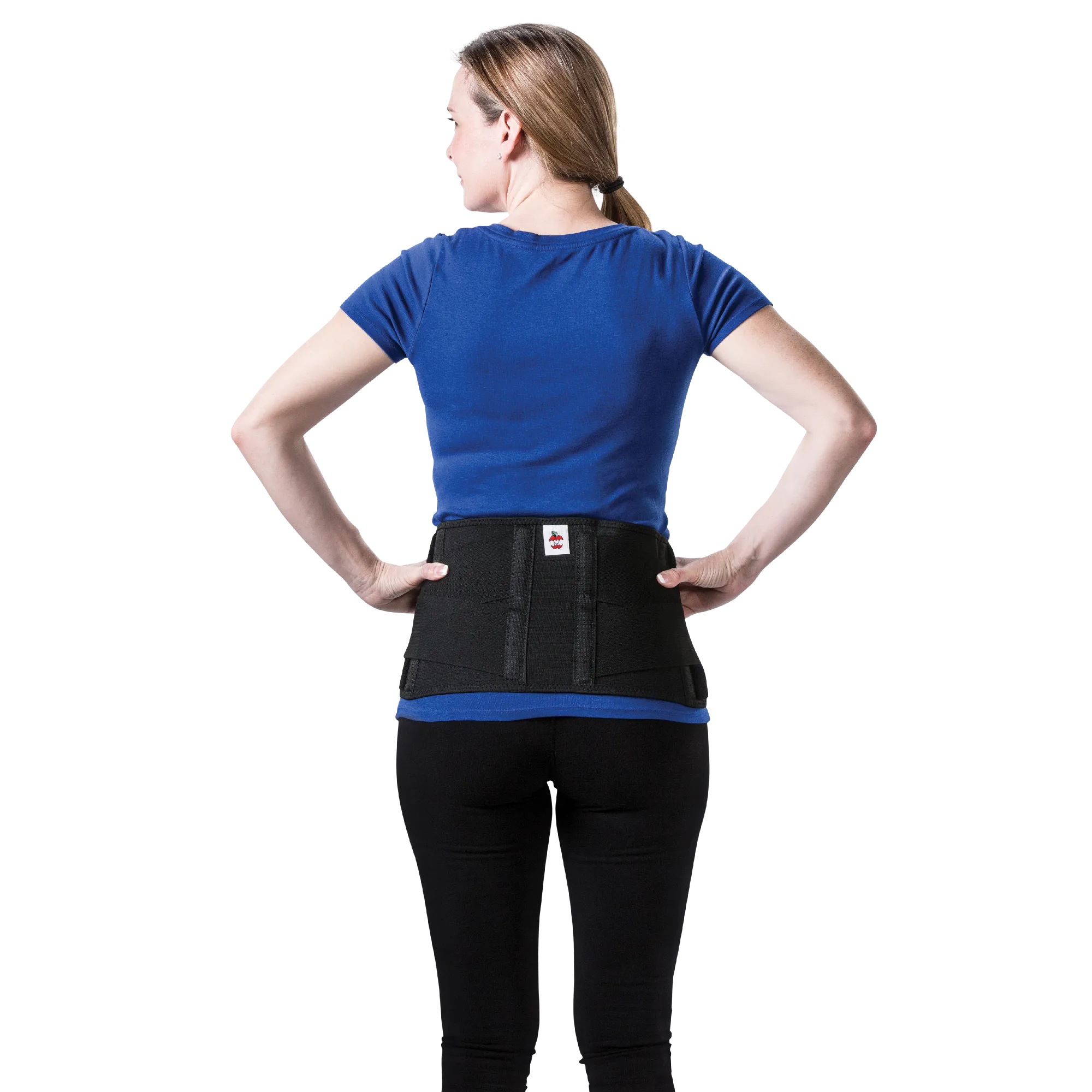 CorFit System Industrial LS Back Support