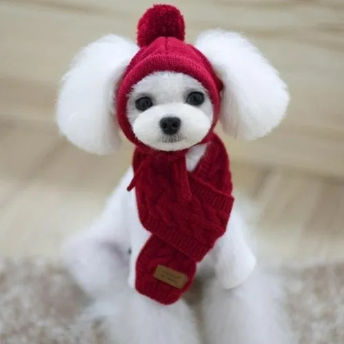 Hat For Dogs Winter Warm Stripes Knitted Hat scarf Collar Puppy