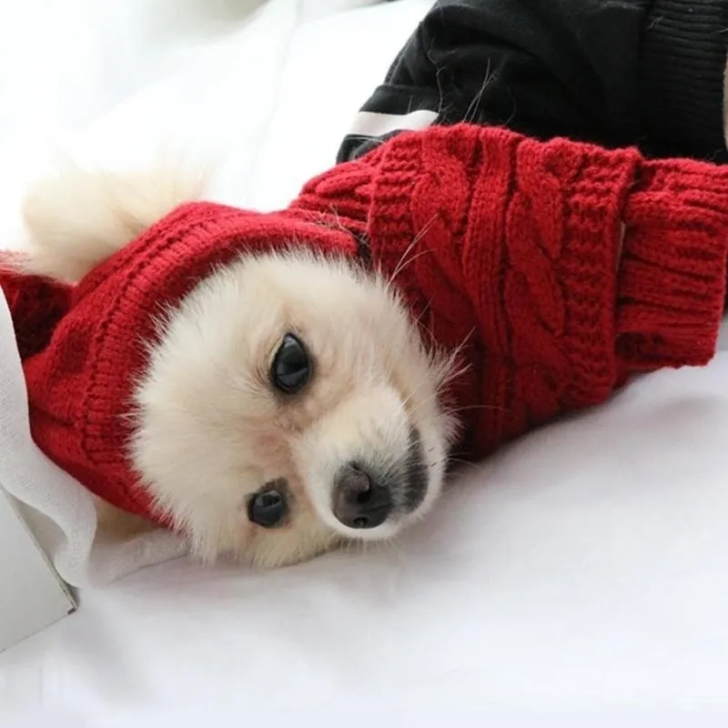 Hat For Dogs Winter Warm Stripes Knitted Hat scarf Collar Puppy